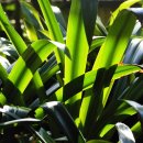 예원화원&예원 이미지