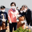 서울상지초등학교 이미지