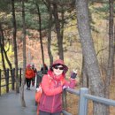 힐링칼국수 이미지