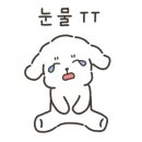카페감땅