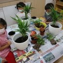 아천초등학교유치원 이미지