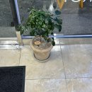 뽀빠이약국 이미지