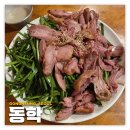 공릉: 동학 | 안주가 맛있는 민속 주점 찐맛집 칠면조 내돈내산 후기(메뉴 추천)
