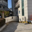 미드림의원 | 수원 편평사마귀 제거 잘하고 저렴한 곳 수원 미드림 성형외과 비용 및 후기 내돈내산