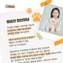 댕냥이라이프고양이애견용품펫마트 네이버블로그