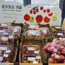 서울야채상회