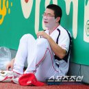 다엘리 이미지