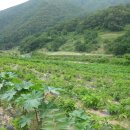 고운농장 이미지