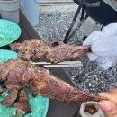 분도푸드 왜관수도원 소시지 후기 &amp; 금산 라곰글램핑 바베큐 리뷰 (시설, 숯불 가격, 꿀팁)