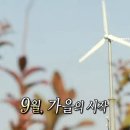 신흥떡방앗간 | 2025 9월 3주차의 기록