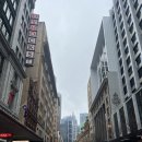 [SYD/day3] 걷다 들어간 카페에서 일하는 워홀러랑 스몰톡💬/검션커피, 써리힐즈, 테카브런치, 오페라...