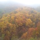 우리농장 이미지