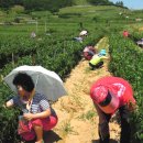 안양대우아파트 이미지