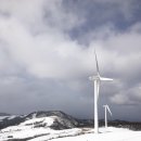 삼양목장 이미지