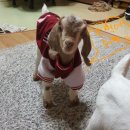 무림농장 이미지