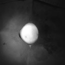 더힐동물병원 이미지