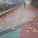(주)일원조경
