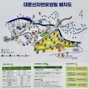 대운산 자연휴양림 캠핑장 이미지