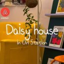 데이지 하우스 이미지