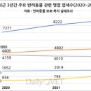 동물택시 이미지