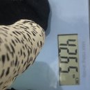 하늘약국 | 마곡 다이어트한약 하늘수한약국 상담 후기