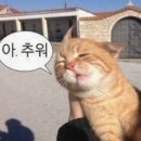 논현로19길 5 이미지