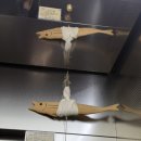 든든 목장 | [남양주 싱싱목장] 별내동고깃집 주차 메뉴 솔직후기