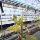 훈이농장 이미지