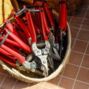 재주농장 이미지