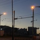 꿀삐닭강정장유코아점 | 제주도 그 후의 이야기