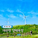 양떼기업