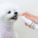 화이트덴탈 | 강아지 치약 추천 | 바이랩 덴탈 스프레이 구강 입냄새 제거 후기