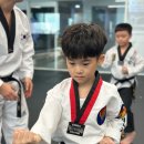 분당명성태권도장 이미지