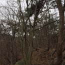 감나무골공원화장실 이미지