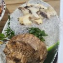 해궁통술 | [창원맛집/마산맛집] 해궁통술 비추추기..