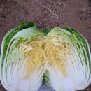 호골농장 이미지