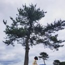 영숙목장 네이버블로그