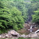 용추자연휴양림(함양) 이미지