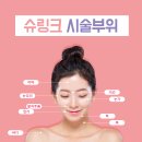 워너비라인의원 이미지