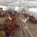 순풍농장 이미지