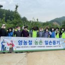 모곡 이미지
