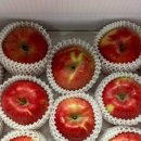 햇터농장 | 올해도 추석선물은 홍로사과~이런 후기 올라오면 힘이 나요^^