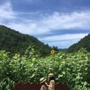 소년과 나무 이미지