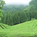 산넘어바다회