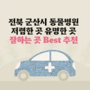 쿨펫동물병원이마트군산점 티스토리