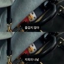 241117 KGMA 코리아 그랜드 뮤직어워드 후기