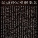 첨모당 이미지