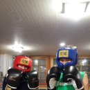 안래기 복싱클럽 이미지