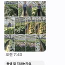 오성꽃농장