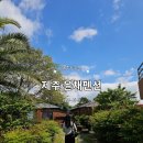 성산힐링펜션&게스트하우스 | 제주 성산 펜션 감성 제대로였던 제주윤채 제주 동쪽 독채 숙소 후기